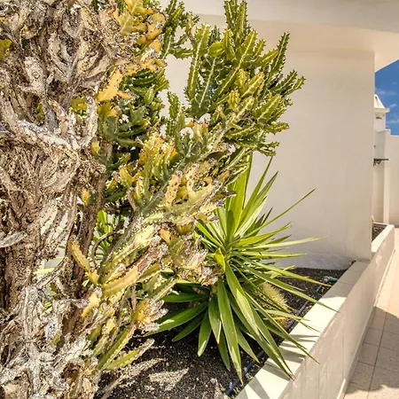 Penthouse Sea View Jacuzzy Terrace & Pool Playa Fanabe